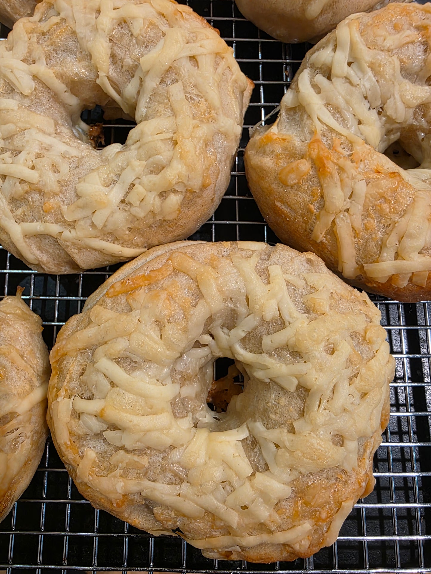 Sourdough Discard Asiago cheese bagel