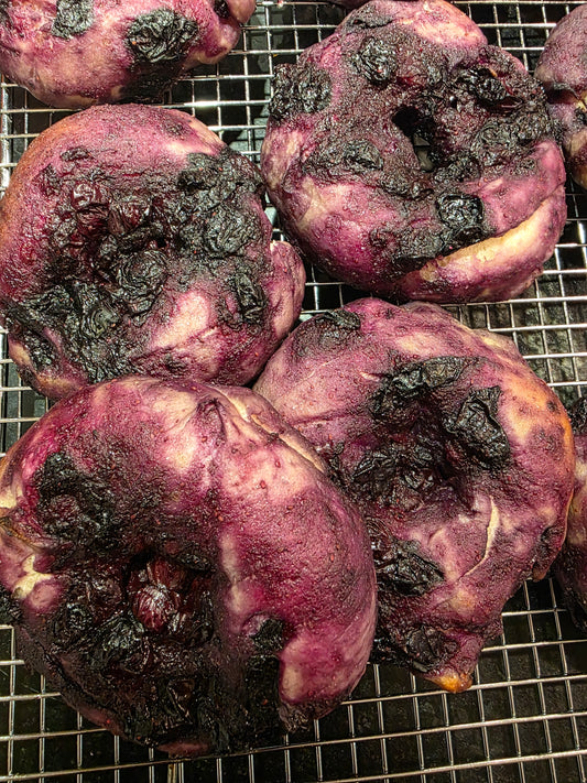 Sourdough Discard blueberry bagel
